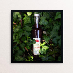 Hädecke Shop eWilpari - der Wald-Apero Kochbuch Haedecke
