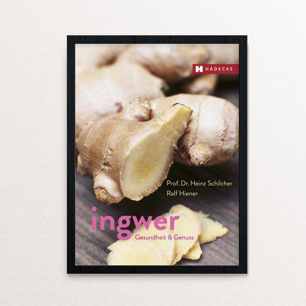 Ingwer