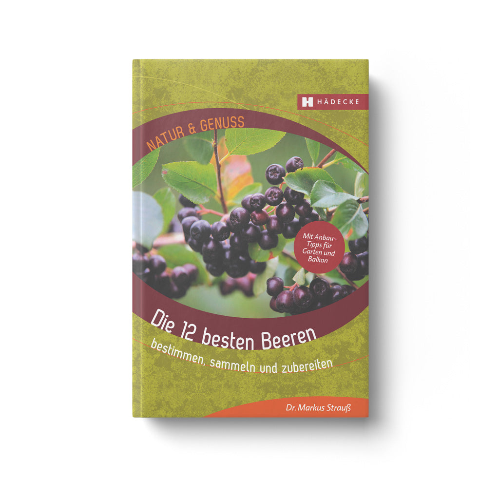 Die 12 besten Beeren aus Wildsammlung und aus dem Garten