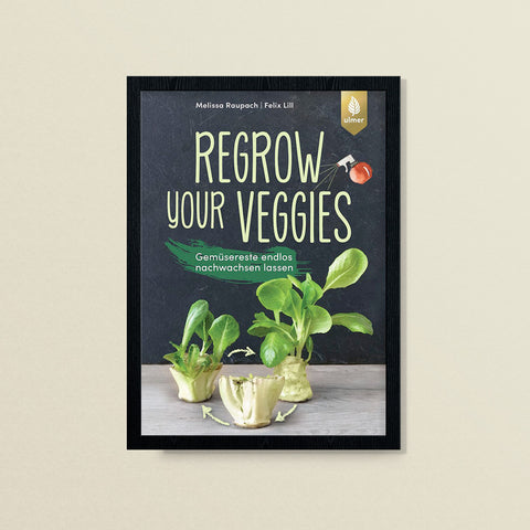 Regrow your veggies – Melissa Raupach, Felix Lill – Ulmer Verlag