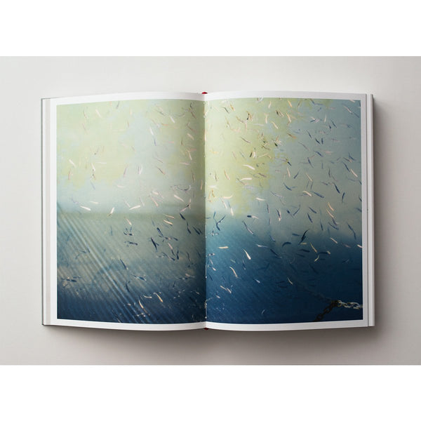 Anna und Catherine Pearson Zu Tisch - Edition gut Kochbuch Haedecke