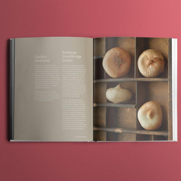 Achim Schwekendiek Zwiebeln & Knoblauch Kochbuch Haedecke